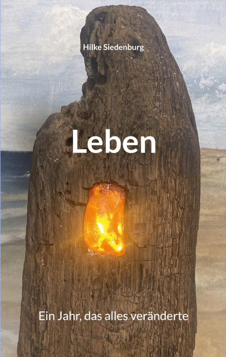 Kniha Leben Hilke Siedenburg