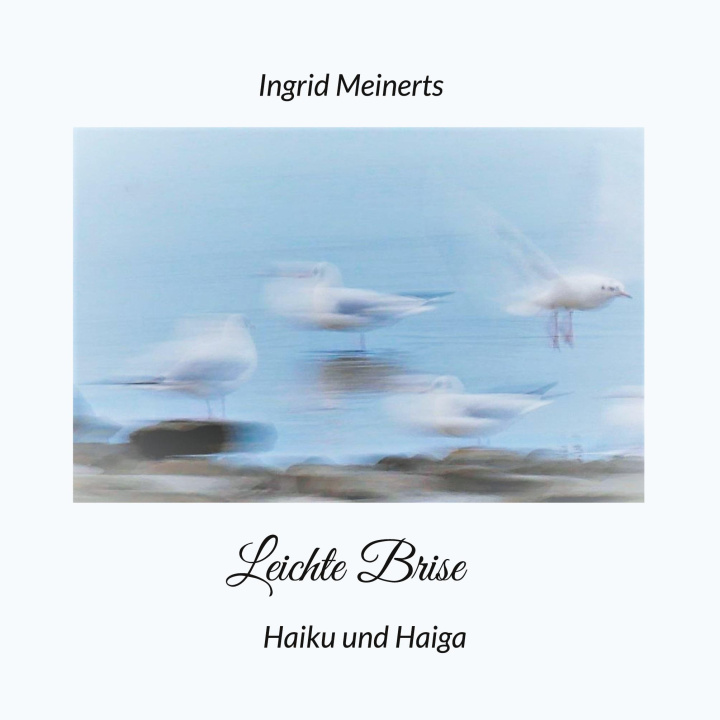 Kniha Leichte Brise 