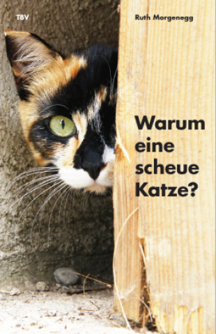 Kniha Warum eine scheue Katze? Ruth Morgenegg