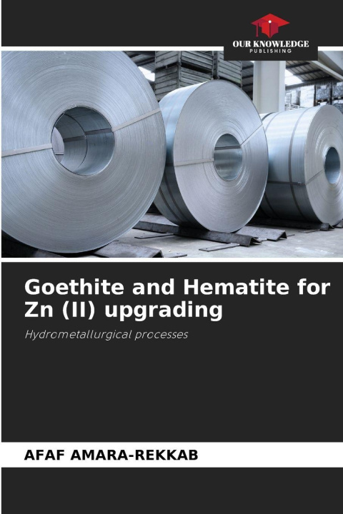 Knjiga Goethite and Hematite for Zn (II) upgrading AFAF AMARA-REKKAB