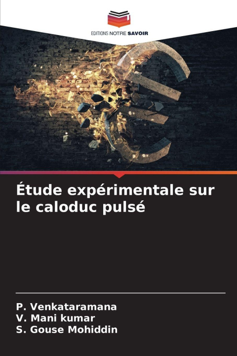 Buch Étude expérimentale sur le caloduc pulsé V. Mani Kumar