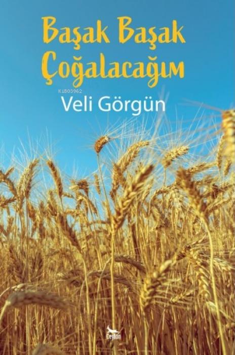Kniha Basak Basak Cogalacagim 