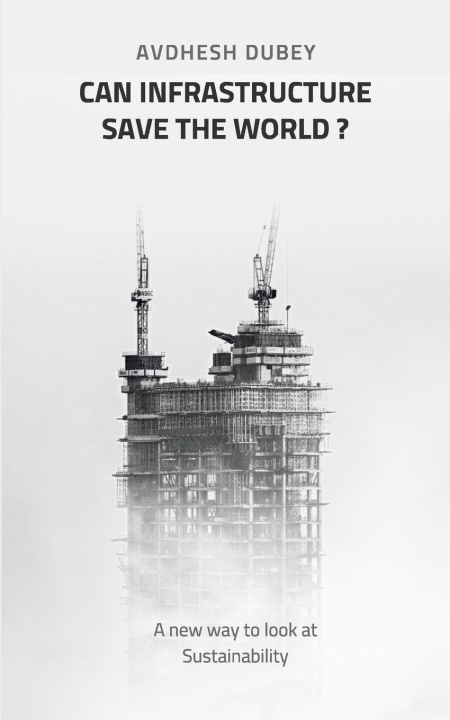 Knjiga Can Infrastructure save the world? Avdhesh Dubey