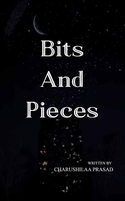 Kniha Bits and Pieces Charushilaa Prasad