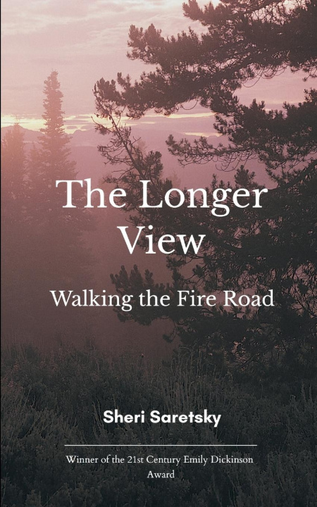 Kniha The Longer View Sheri Saretsky
