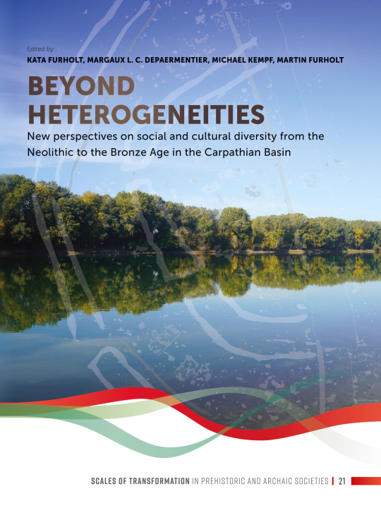 Kniha Beyond heterogeneities Margaux L. C. Depaermentier