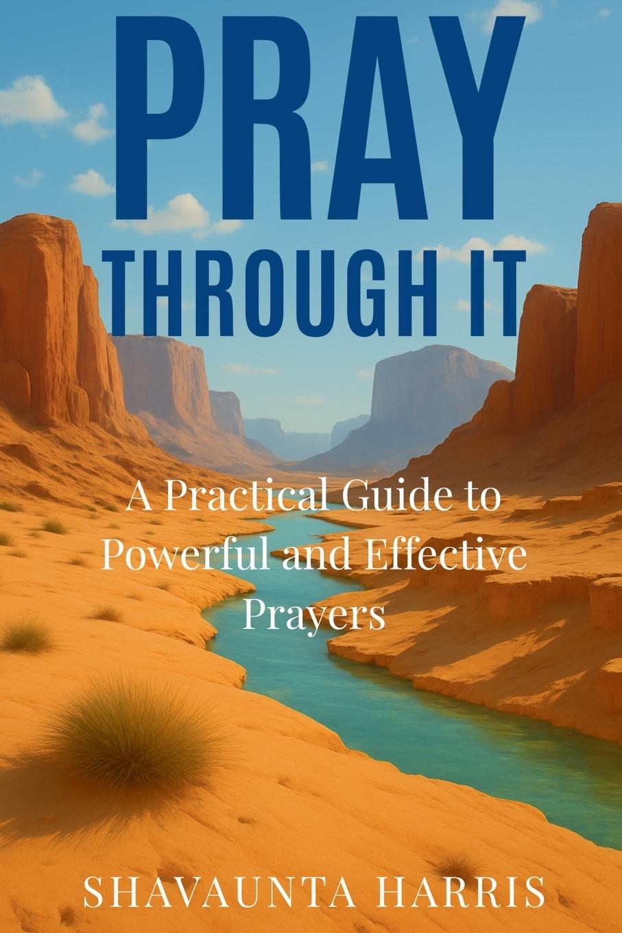 Kniha Pray Through It 