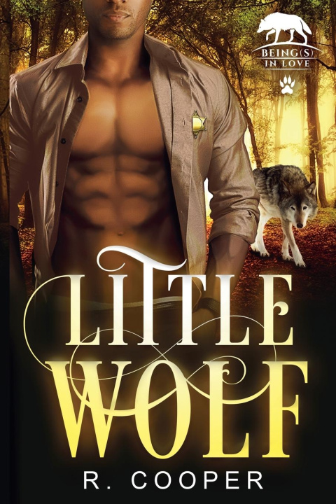 Kniha Little Wolf R. Cooper