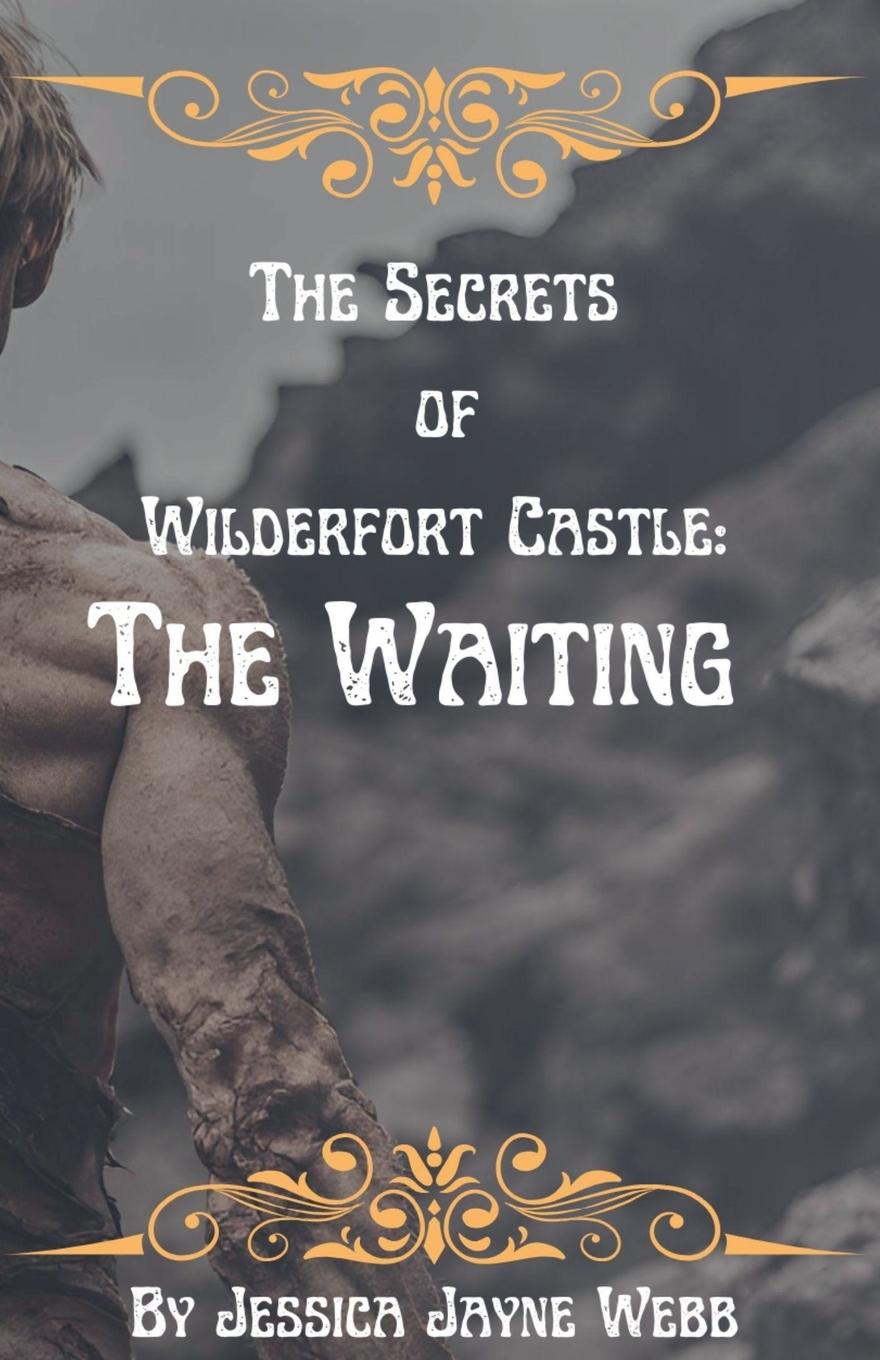Kniha The Secrets of Wilderfort Castle 