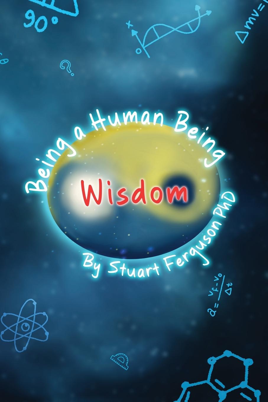Kniha Being a Human Being, Volume Two - Wisdom 