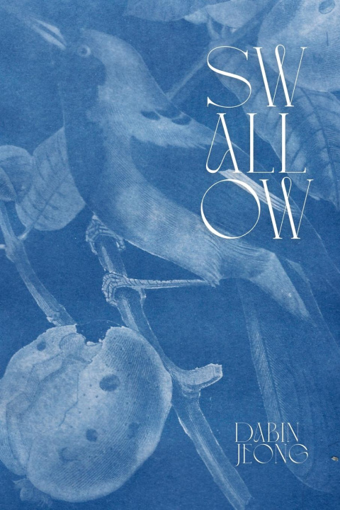 Kniha Swallow 