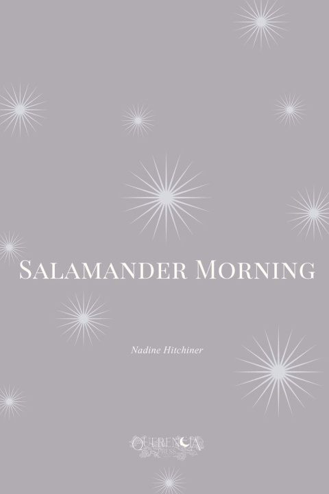 Книга Salamander Morning Nadine Hitchiner