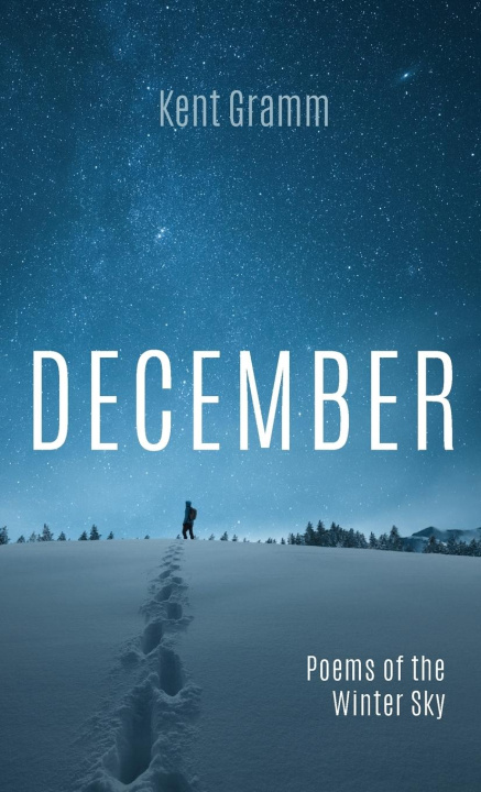 Kniha December 