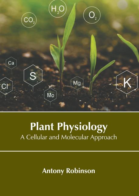 Kniha Plant Physiology: A Cellular and Molecular Approach 