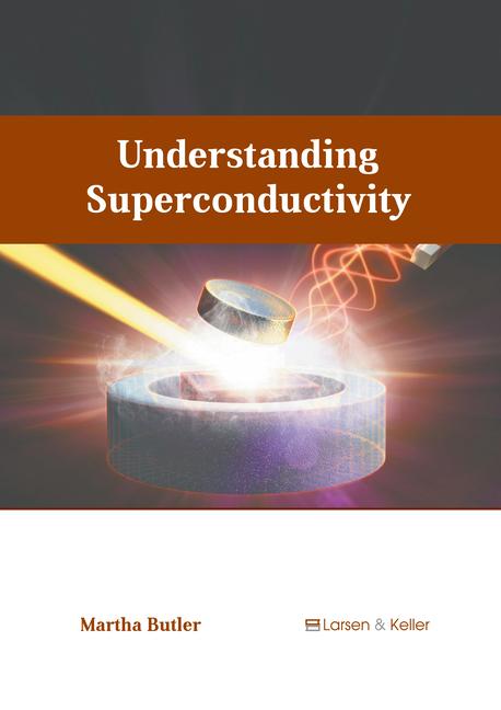Kniha Understanding Superconductivity 