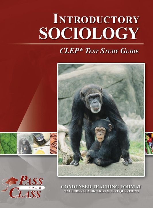 Kniha Introduction to Sociology CLEP Test Study Guide 