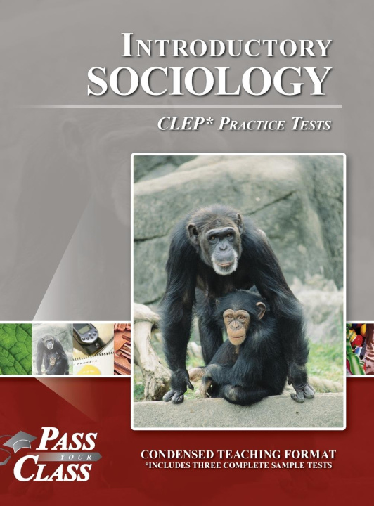 Kniha Introductory Sociology CLEP Practice Tests 