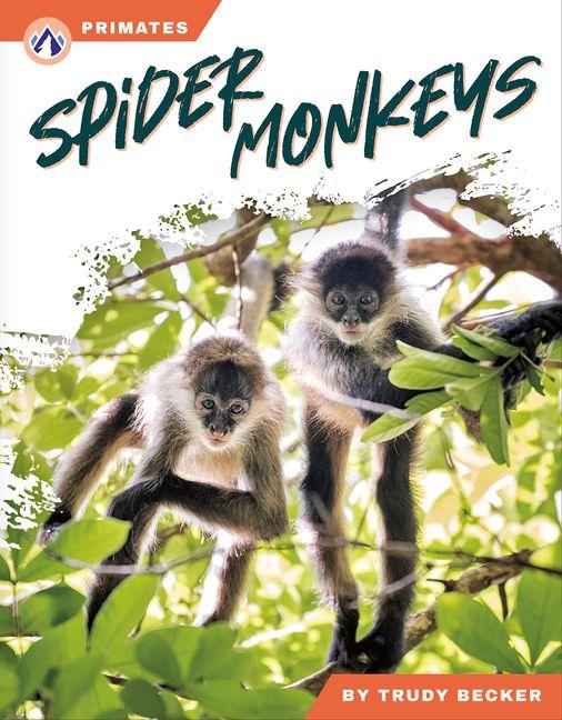 Kniha Spider Monkeys Trudy Becker