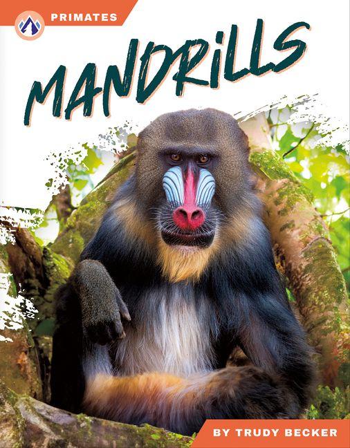 Kniha Mandrills Trudy Becker