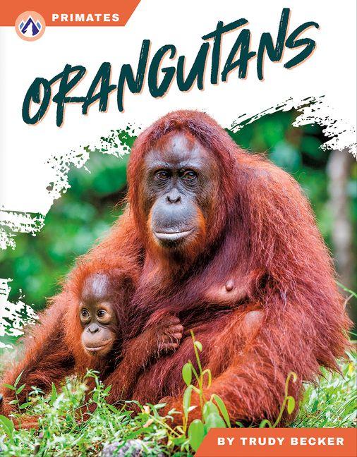 Kniha Orangutans Trudy Becker