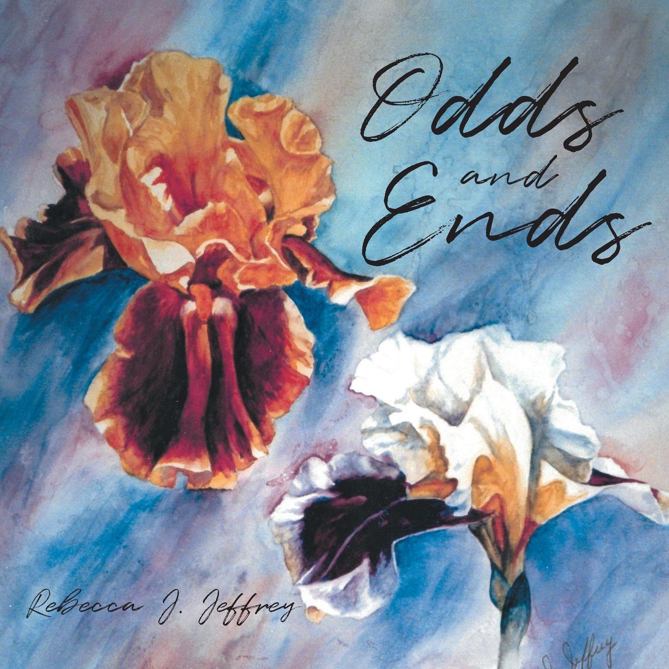 Kniha Odds and Ends Rebecca J. Jeffrey