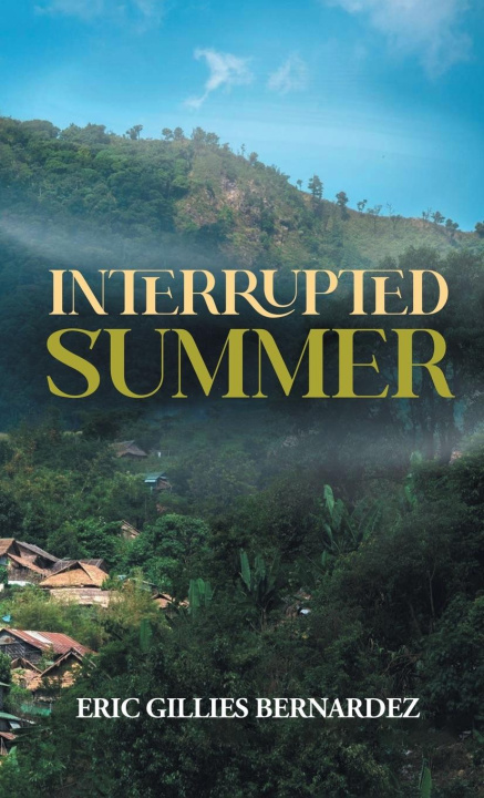 Knjiga Interrupted Summer 