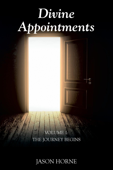 Kniha Divine Appointments Jason Horne