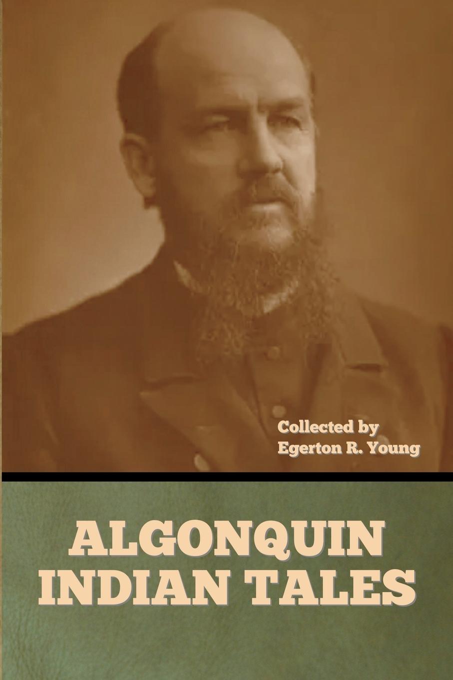Kniha Algonquin Indian Tales 