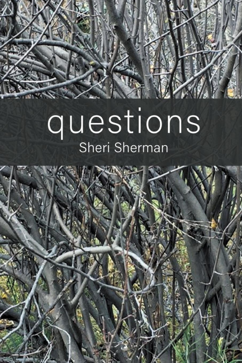 Kniha questions 