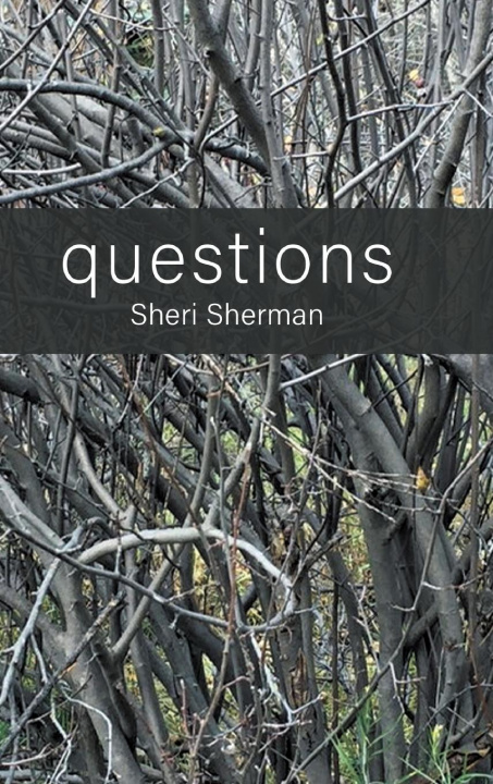 Kniha questions 