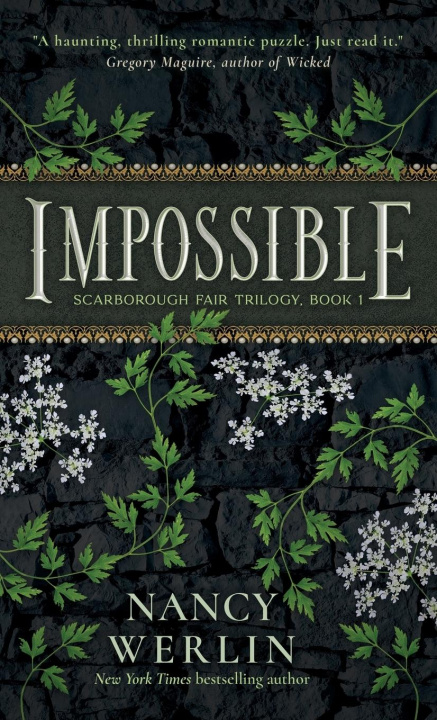 Kniha Impossible Nancy Werlin