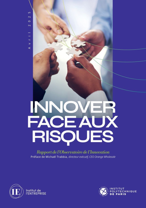Kniha Innover face aux risques Institut de l'entreprise