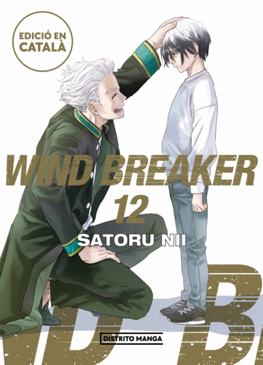 Libro Wind Breaker 12 Satoru Nii