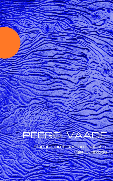 Knjiga Peegelvaade 
