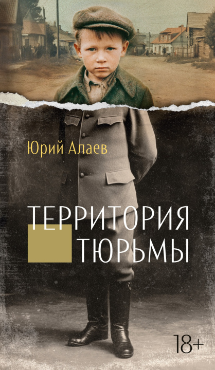 Книга Территория тюрьмы Ю. Алаев