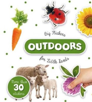 Kniha Big stickers Colours - for little hands 