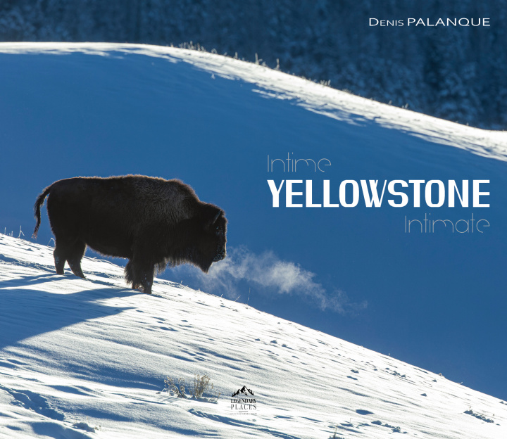 Kniha Intime Yellowstone Palanque