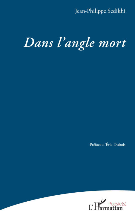 Kniha Dans l’angle mort Sedikhi