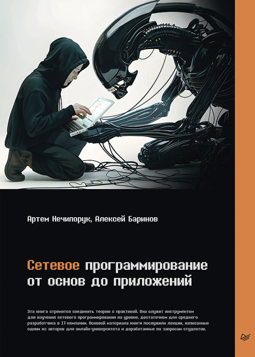 Kniha Сетевое программирование. От основ до приложений А.М. Нечипорук