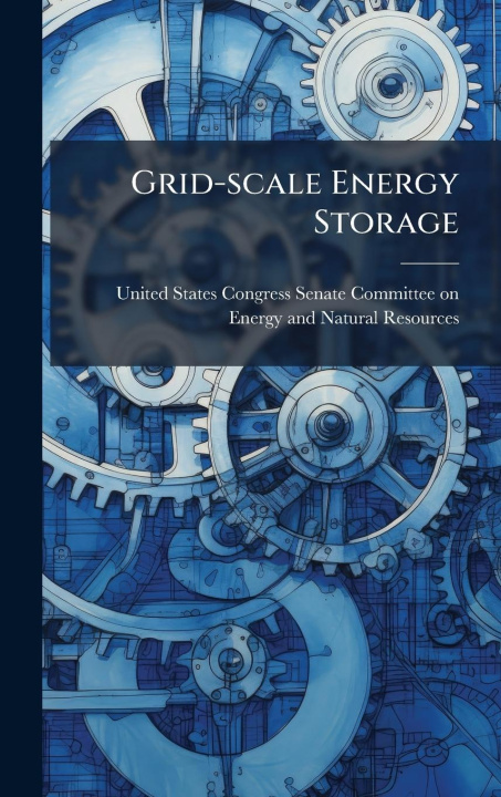 Kniha Grid-scale Energy Storage 