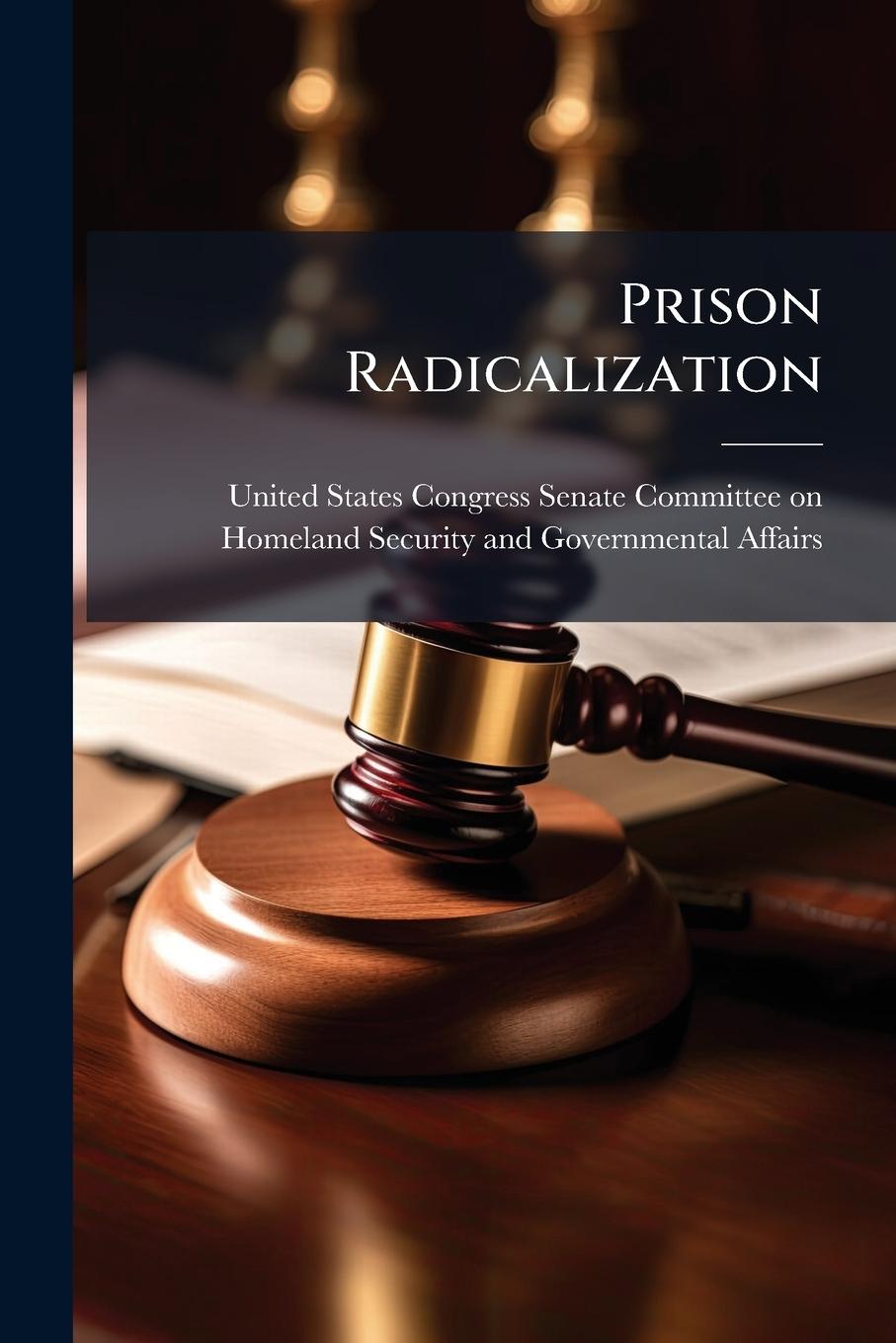 Kniha Prison Radicalization 