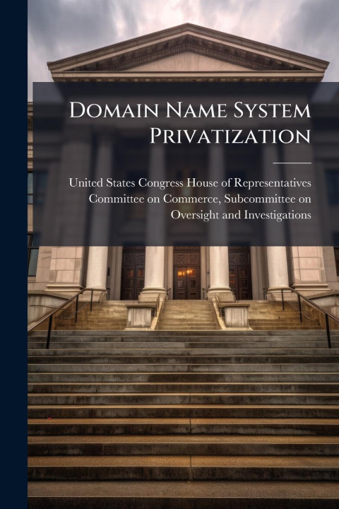 Kniha Domain Name System Privatization 
