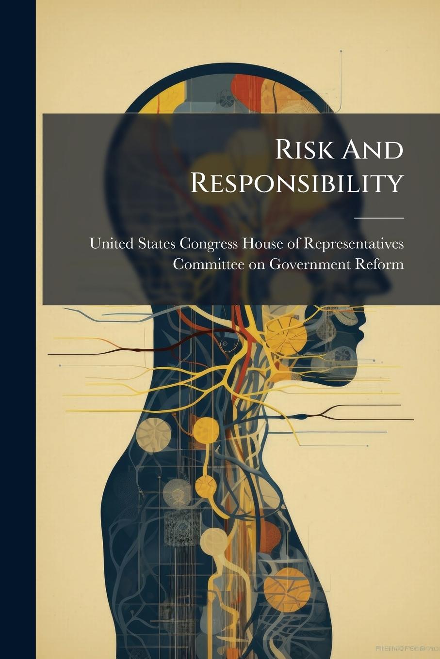 Kniha Risk And Responsibility 