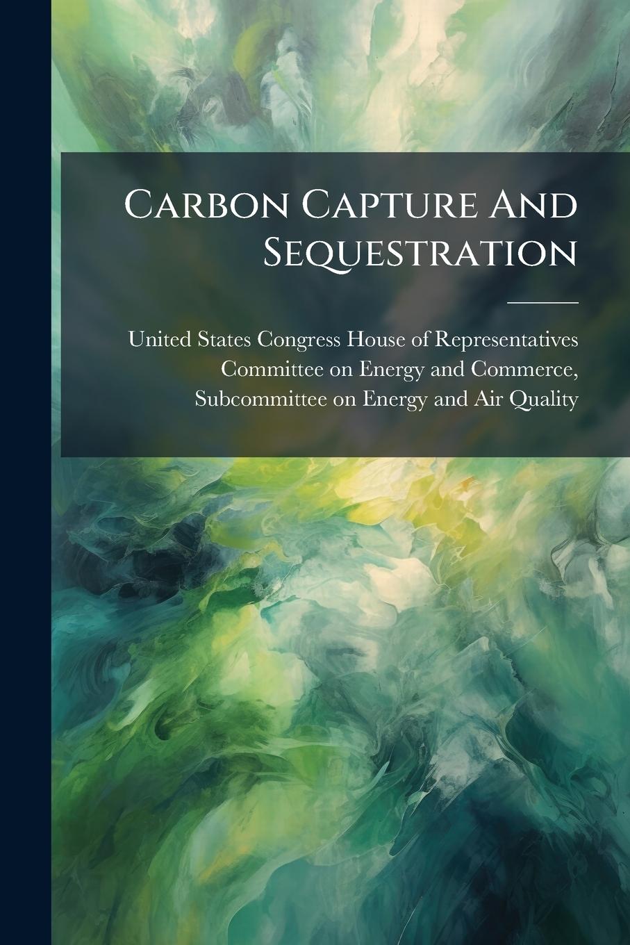 Kniha Carbon Capture And Sequestration 