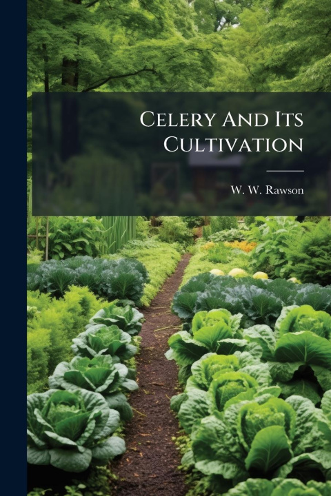 Kniha Celery And Its Cultivation 