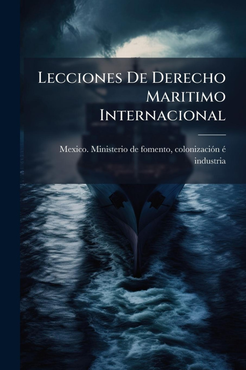 Kniha Lecciones De Derecho Maritimo Internacional 