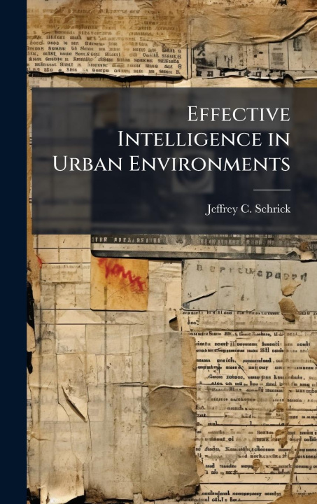 Kniha Effective Intelligence in Urban Environments 