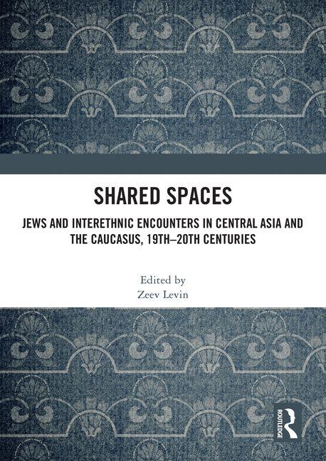 Kniha Shared Spaces Zeev Levin