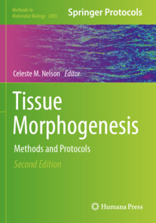 Kniha Tissue Morphogenesis Celeste M. Nelson