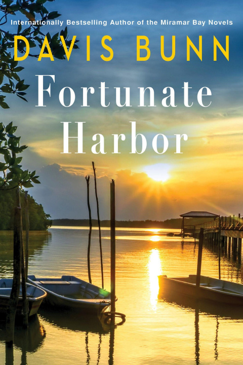 Kniha Fortunate Harbor BUNN DAVIS